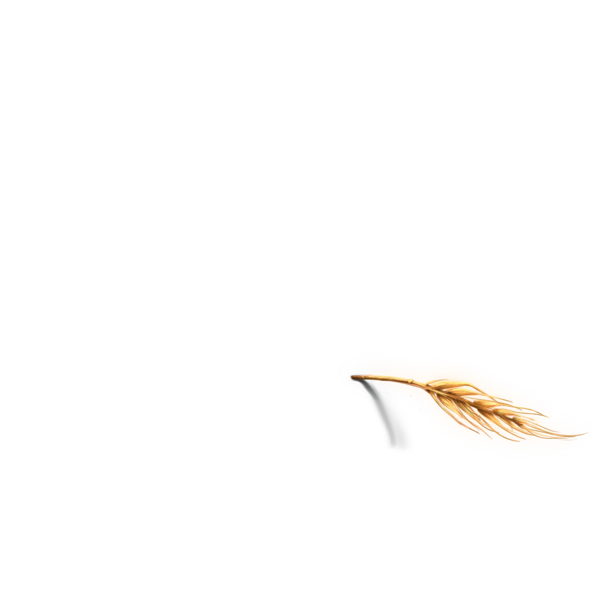 inscription def4e01baec5f7ac7ec1408836ff7ef3d5e4dce16d0b07f5705a1436032b2fa0i0