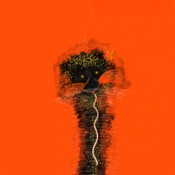 inscription e169731f70207387c524b1204f8c97bfccce2ba4d5d5e5ad1aa6018adc2b7482i30