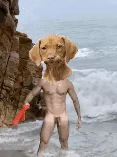 inscription e3bdc1102e11920da1e5decd6842574f7ff2bd8a850fa4f17eb28389fea0dc24i0