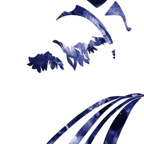 inscription e5439aaf1b36371487ba2a5238f3fb7d655fd39c4356bbdc0f41a5d5e499e567i3