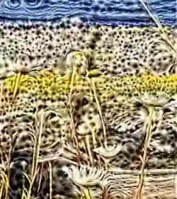 inscription ea2c7086503ba408d25844ed16fd8e55cfac76fedd8451e68bed10cb4fa8ea44i0