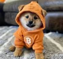 inscription ea570bc6de82de2c727064a26d3b1f38c889c3c5e3e481694577e84874a6e5cdi0