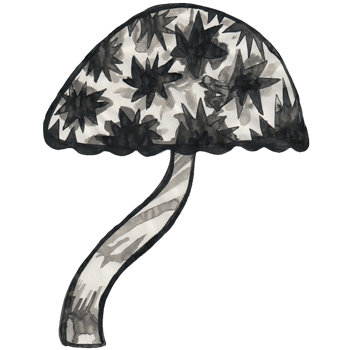 inscription ebadede120bad5704ec0d5550c19c4cead35dde4560061a0caaa8a8853feda6fi0