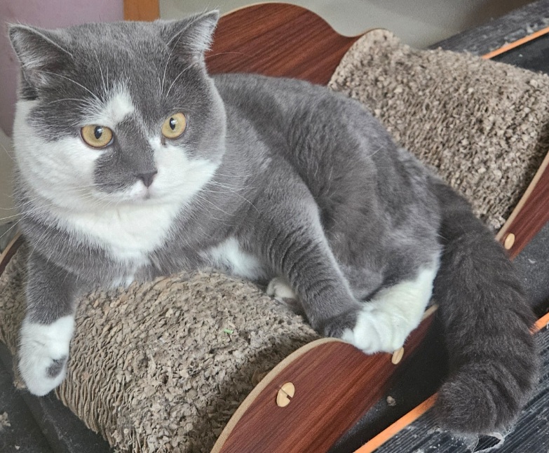 inscription f4632c0d28ee14d118e8251bb73870b2319b614fa941970250b94190f8804239i0