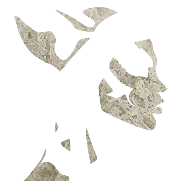 inscription f765404afd882e5bb56fe80e044d8aacba620f2fa13d8551599f5569f8236e3bi13