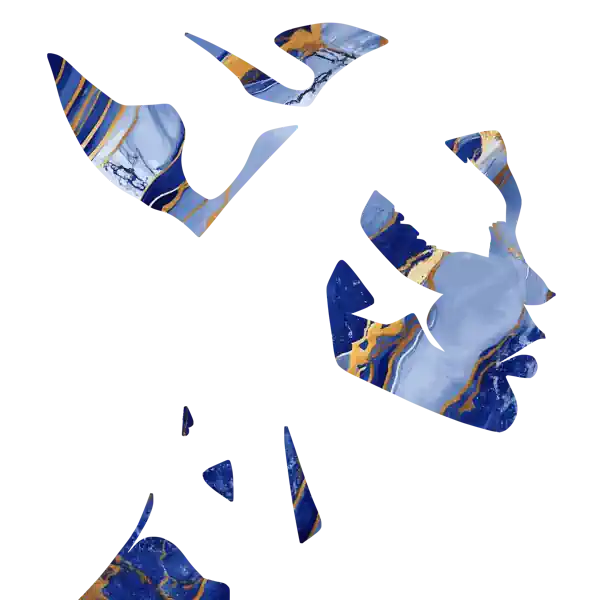 inscription f765404afd882e5bb56fe80e044d8aacba620f2fa13d8551599f5569f8236e3bi17