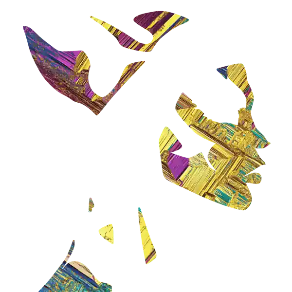 inscription f765404afd882e5bb56fe80e044d8aacba620f2fa13d8551599f5569f8236e3bi20