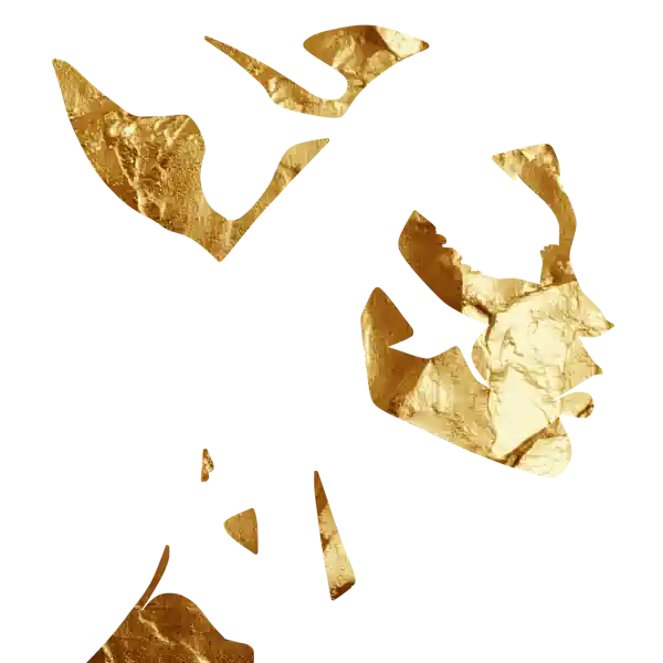 inscription f765404afd882e5bb56fe80e044d8aacba620f2fa13d8551599f5569f8236e3bi6